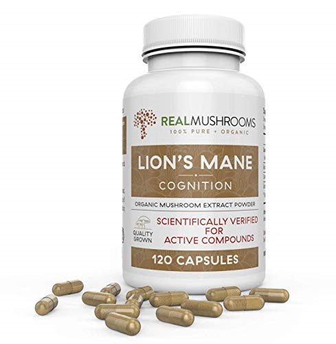 lions mane mushroom capsules